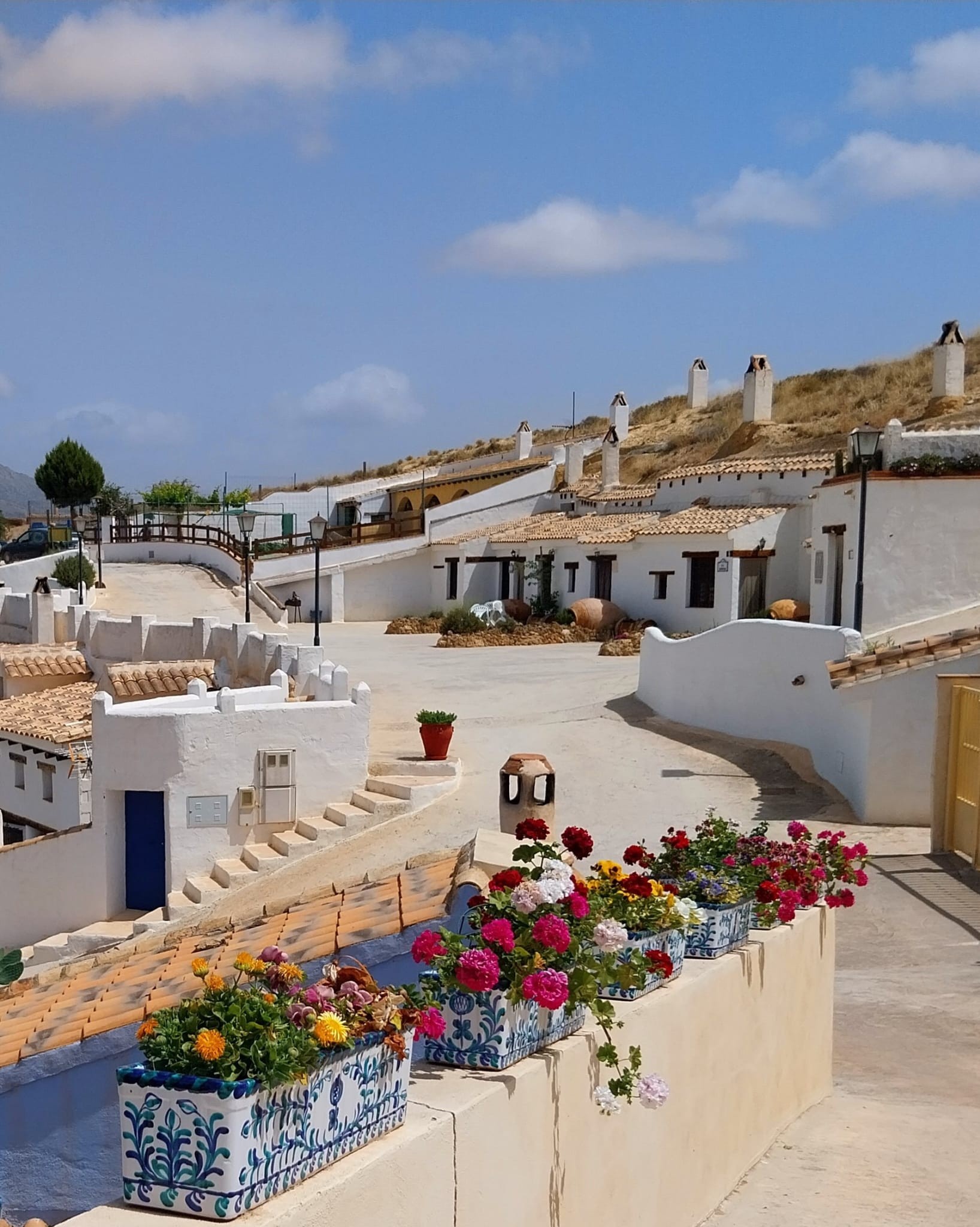 IMG-20240819-WA0018~2